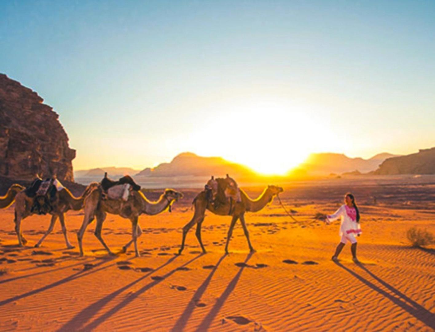 Golden Stars Luxury Camp Wadi Ad Disah